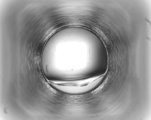 X0000093160985200710241016