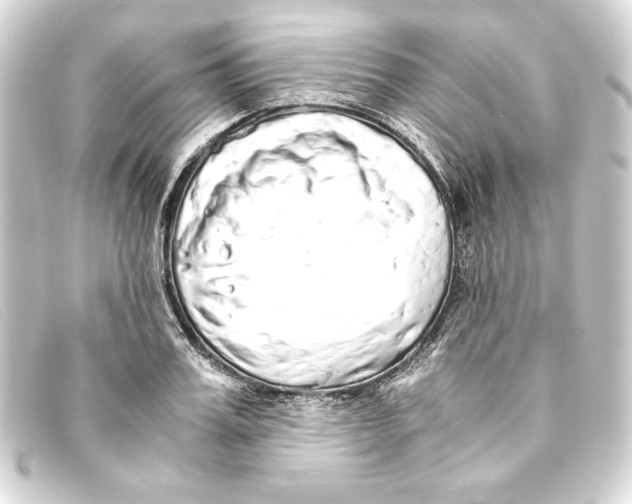 X0000093160987200710241016