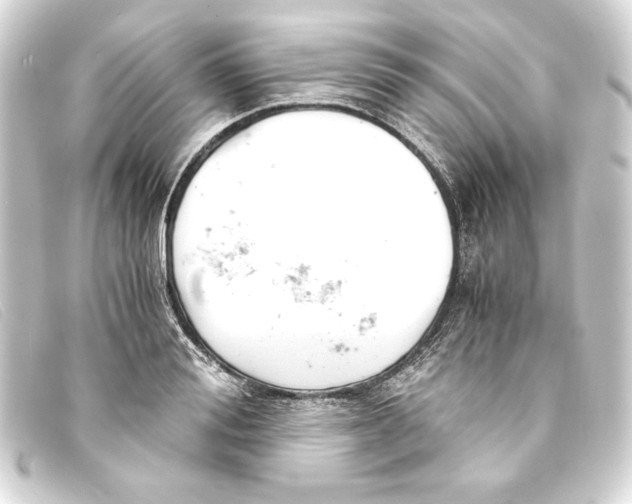 X0000093160988200710241016