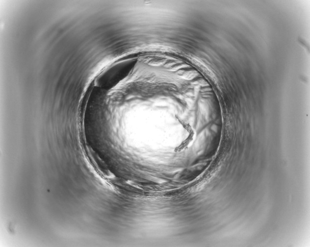 X0000093160989200710241016