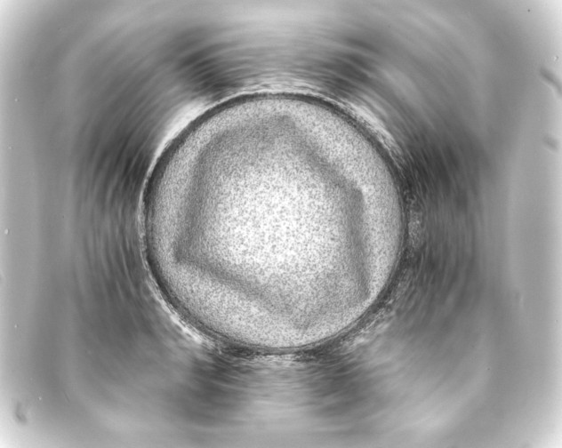 X0000093160990200710241016