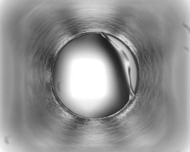 X0000093160993200710241016