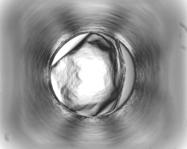 X0000093160994200710241016