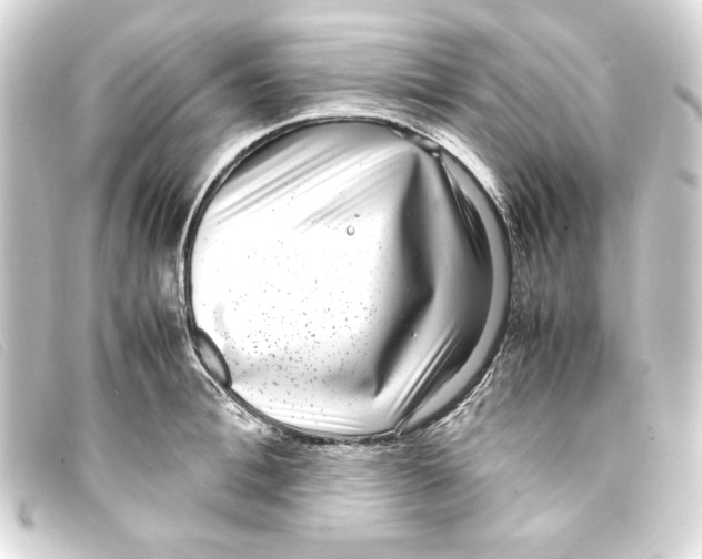 X0000093160996200710241016