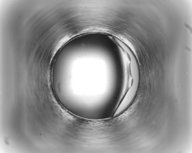 X0000093160997200710241016