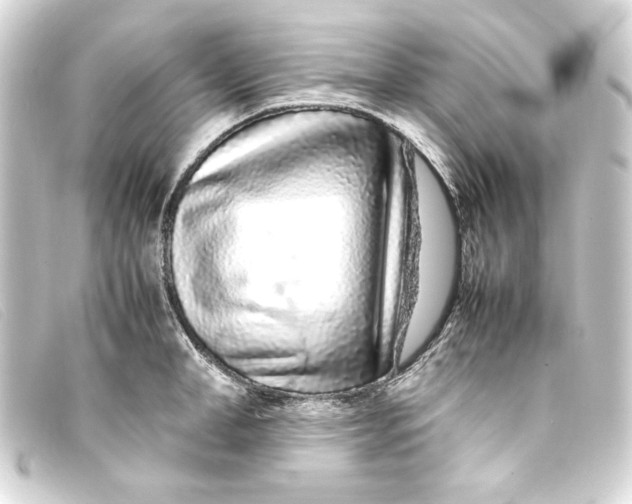 X0000093160998200710241016