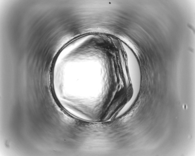 X0000093160999200710241016