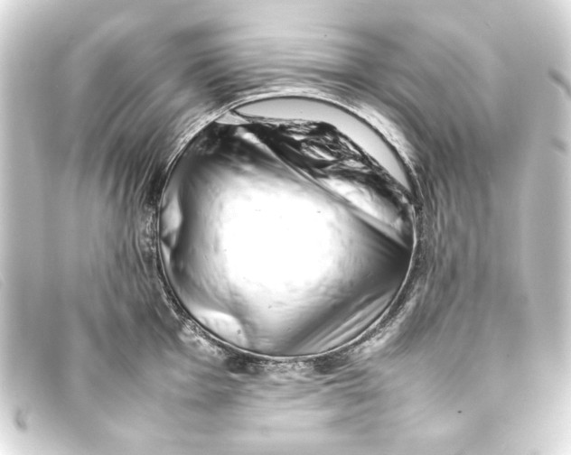 X0000093161001200710241016