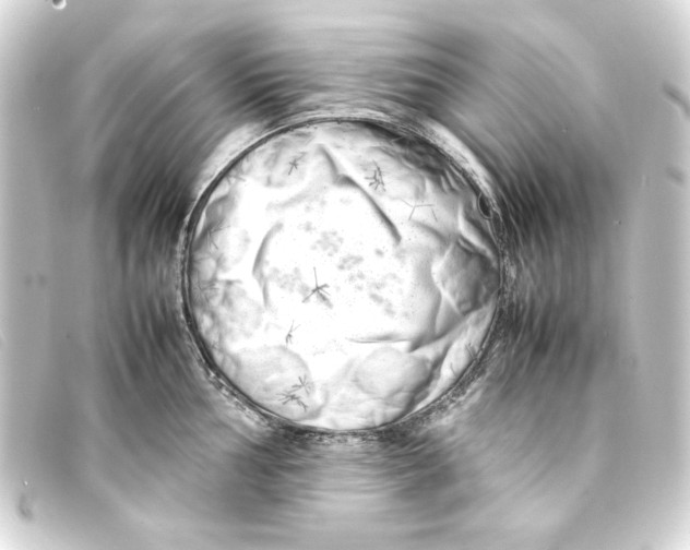 X0000093161002200710241016