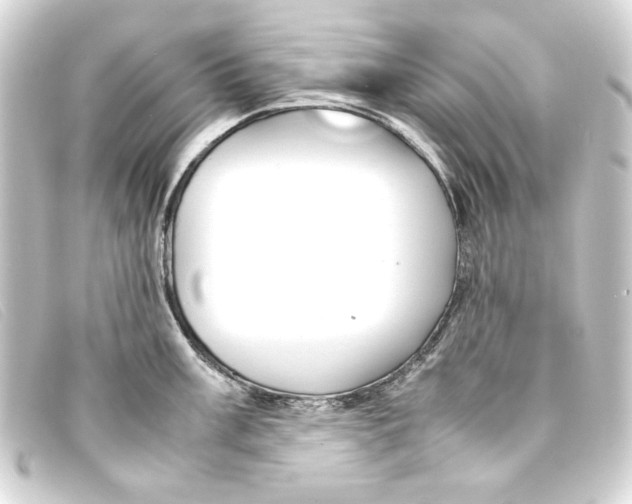 X0000093161003200710241016