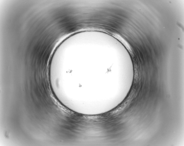 X0000093161004200710241016