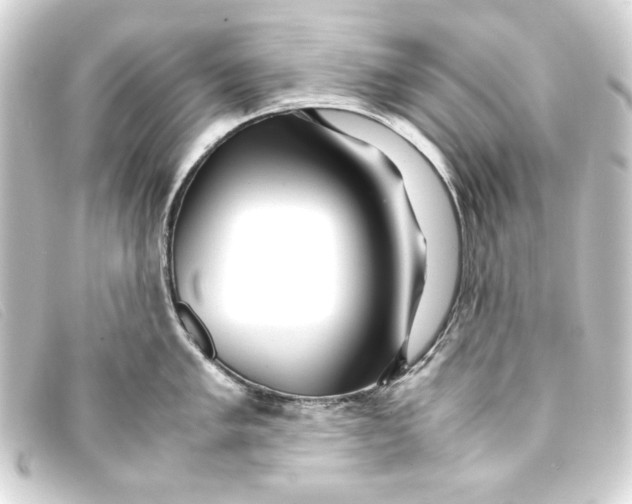 X0000093161005200710241016