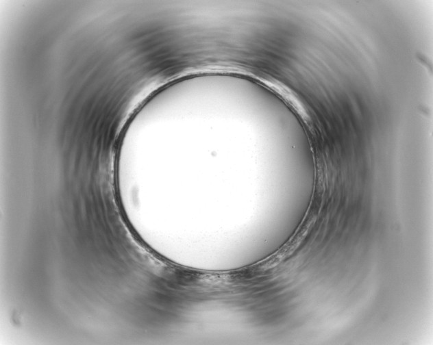 X0000093161006200710241016