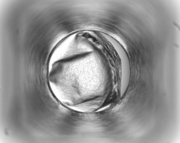 X0000093161007200710241016