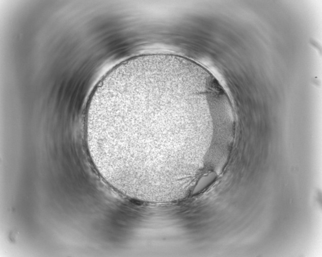 X0000093161008200710241016