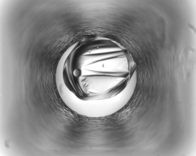 X0000093161010200710241016