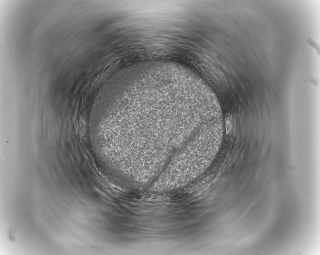 X0000093161011200710241016