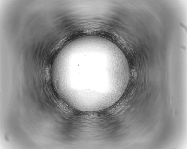 X0000093161012200710241016