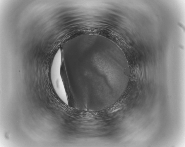 X0000093161013200710241016