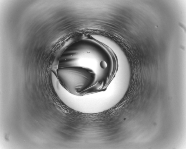 X0000093161014200710241016