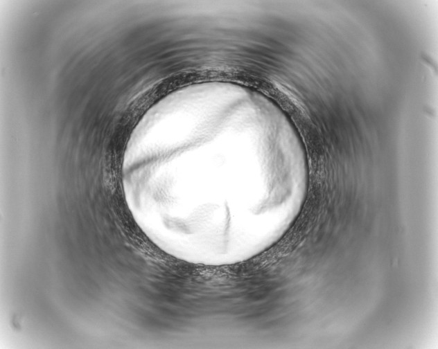 X0000093161015200710241016