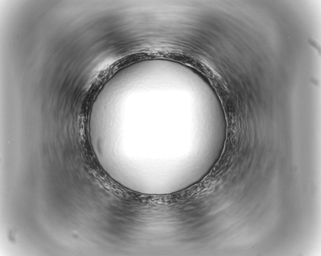 X0000093161016200710241016