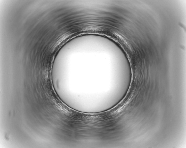 X0000093161017200710241016