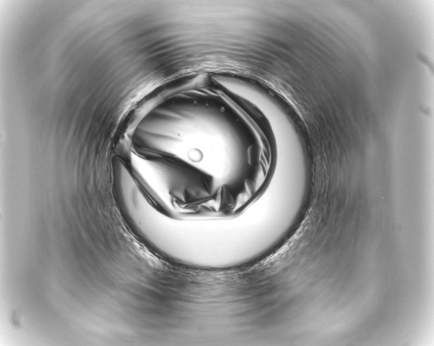 X0000093161018200710241016