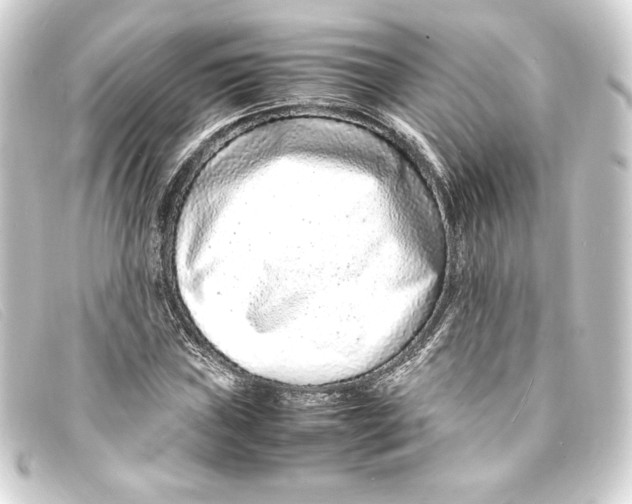X0000093161019200710241016