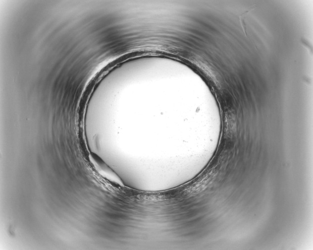 X0000093161020200710241016