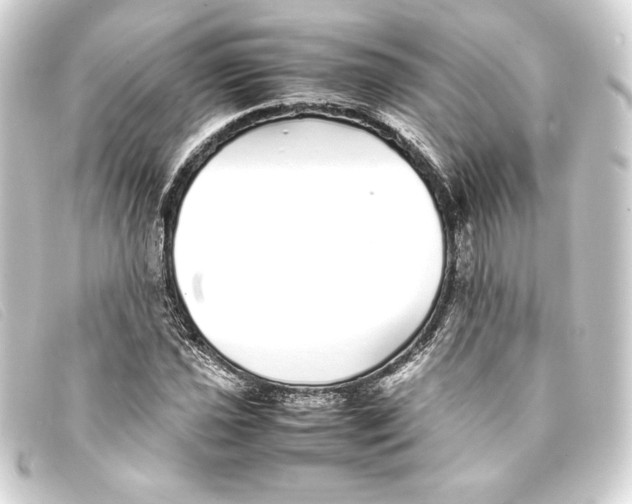 X0000093161021200710241016