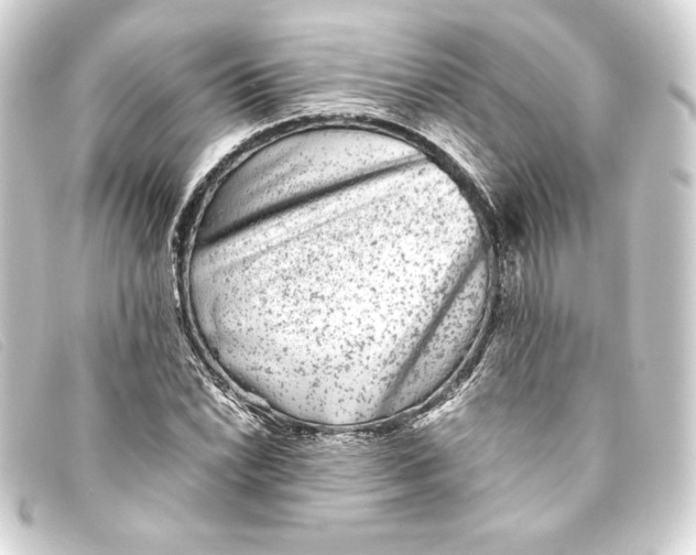 X0000093161022200710241016