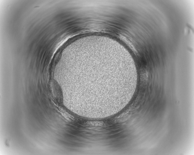 X0000093161023200710241016
