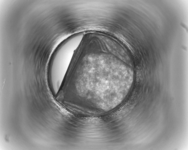 X0000093161024200710241016