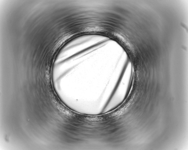 X0000093161025200710241016