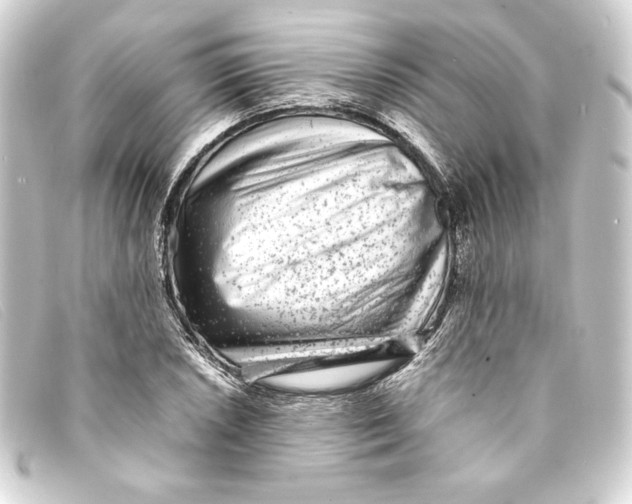 X0000093161026200710241016