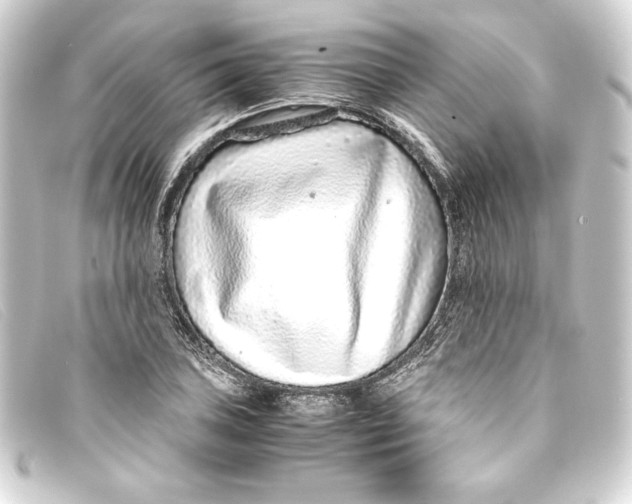 X0000093161027200710241016