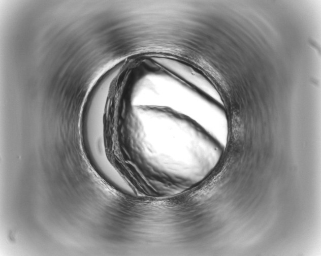 X0000093161028200710241016