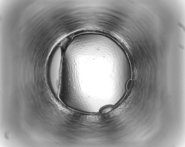 X0000093161029200710241016