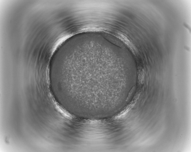 X0000093161030200710241016