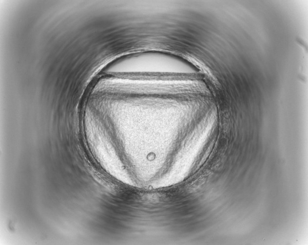 X0000093161031200710241016