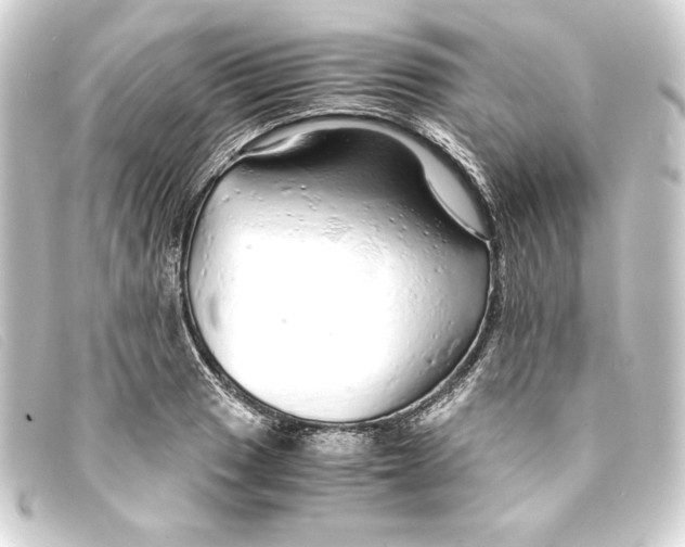 X0000093161033200710241016