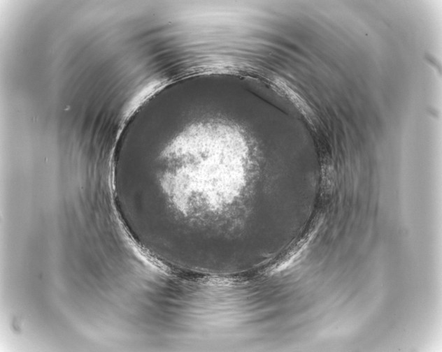 X0000093161034200710241016