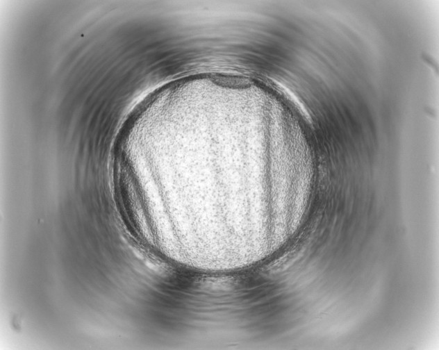X0000093161035200710241016