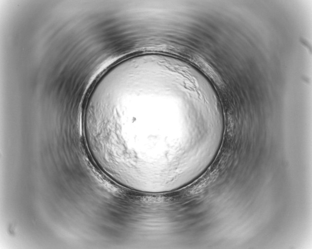 X0000093161036200710241016