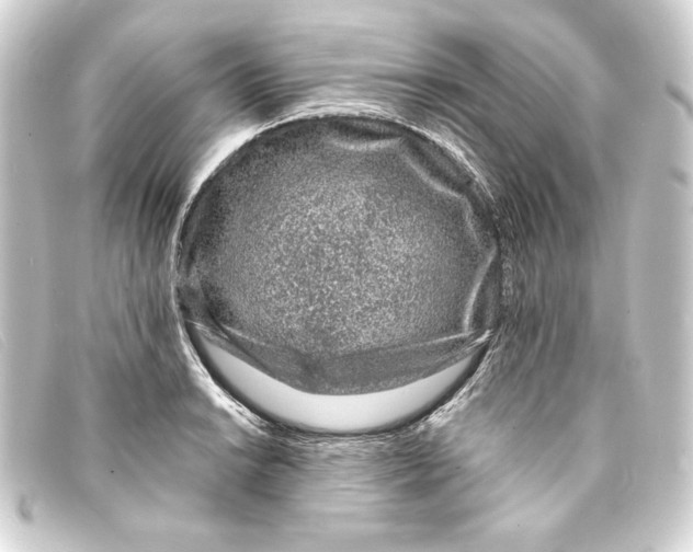 X0000093161038200710241016