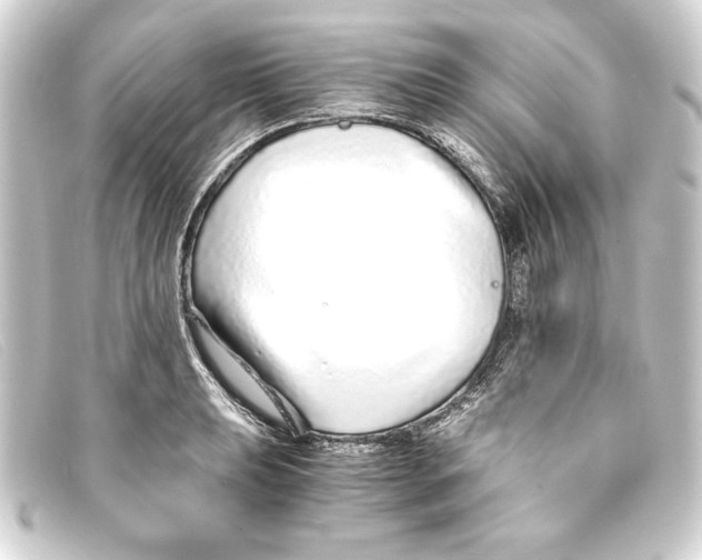 X0000093161039200710241016