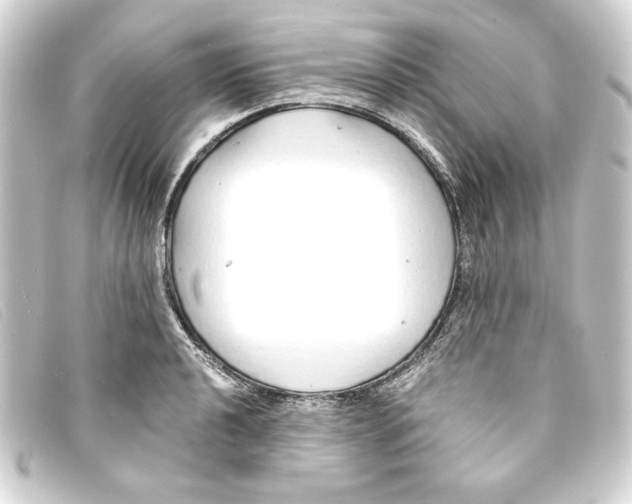 X0000093161040200710241016
