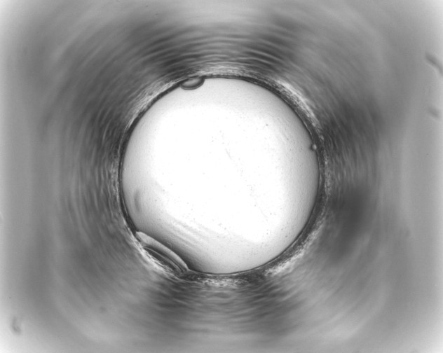 X0000093161041200710241016