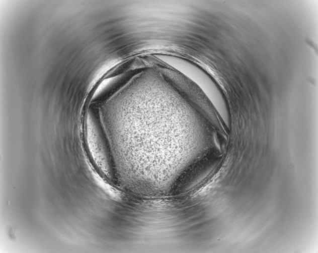 X0000093161042200710241016